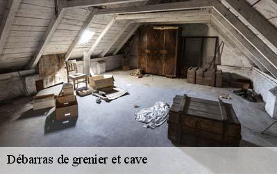 Débarras de grenier et cave  65440