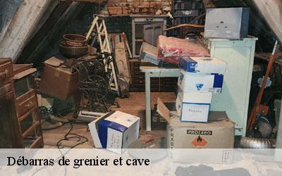 Débarras de grenier et cave 65100