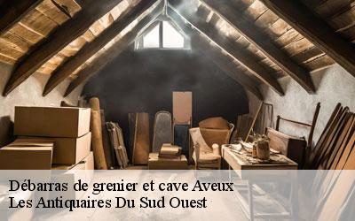 Débarras de grenier et cave  65370
