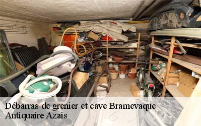 Débarras de grenier et cave  65370