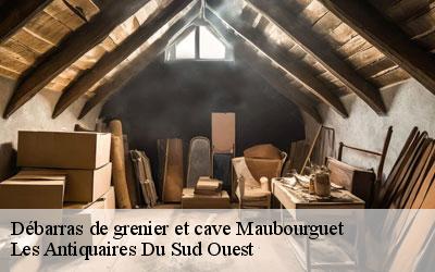 Débarras de grenier et cave  65700