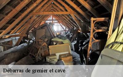 Débarras de grenier et cave  65130