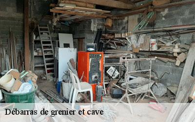 Débarras de grenier et cave  65370