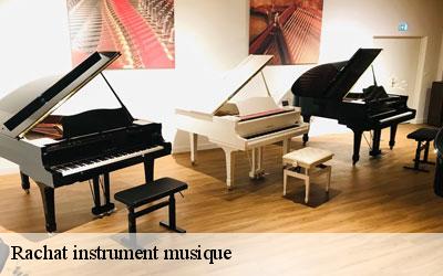 Rachat instrument musique  65100