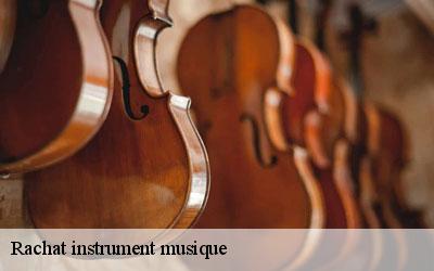 Rachat instrument musique 65490