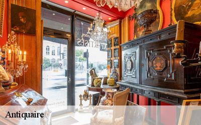 Antiquaire  65510