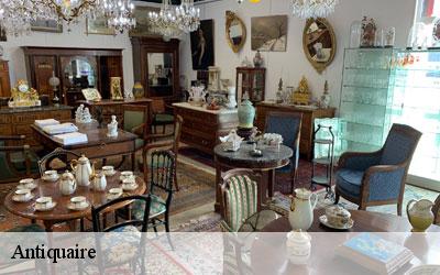 Antiquaire  65700
