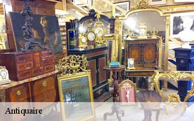 Antiquaire  65200