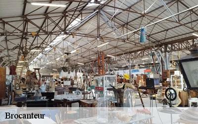Brocanteur 65300