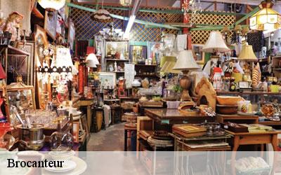 Brocanteur  65220